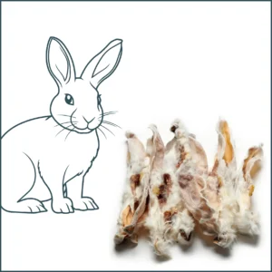 Oreille de lapin