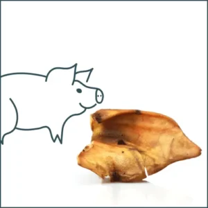Friandise naturelle – Oreille de porc
