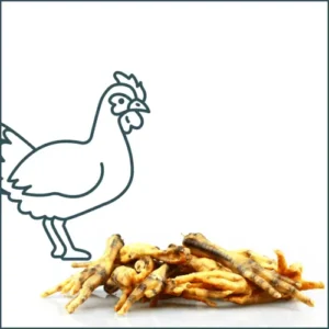 Friandise naturelle – Pattes de poulet