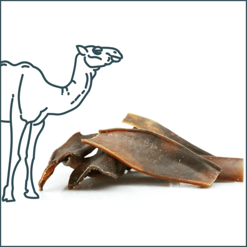 Friandise naturelle - Peau de chameau