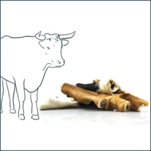 Friandise naturelle – Peau de tête de bœuf avec poils – 15 cm