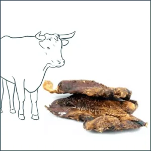 Friandise naturelle – Lèvre de bœuf