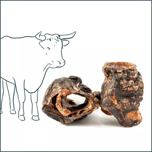 Friandise naturelle - Larynx de bœuf