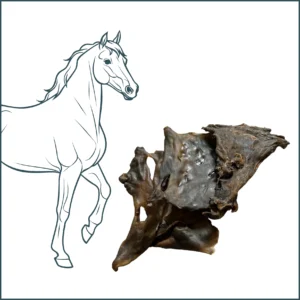 Plaque de peau de cheval