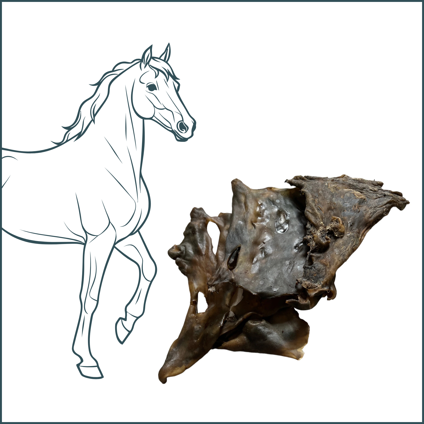 Friandise naturelle - Plaque de peau de cheval