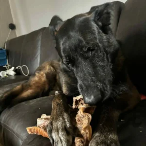 Plaque de peau de tête de bœuf extra dure