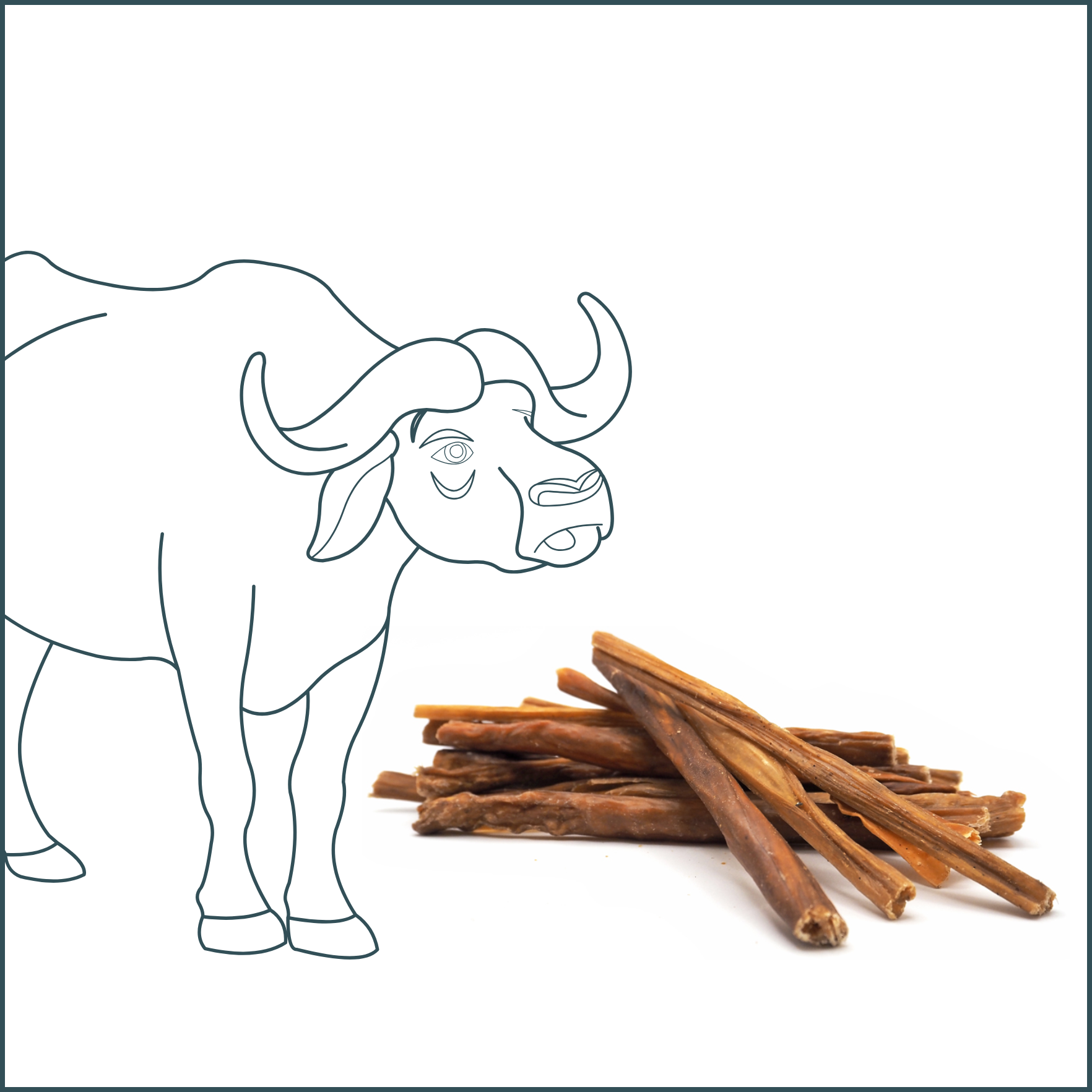 Friandise naturelle - Intestin de buffle