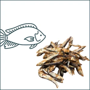 Sprats
