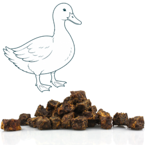 Bouchées au canard