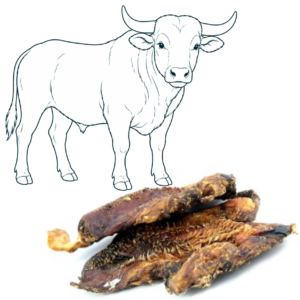 Lèvre de bœuf