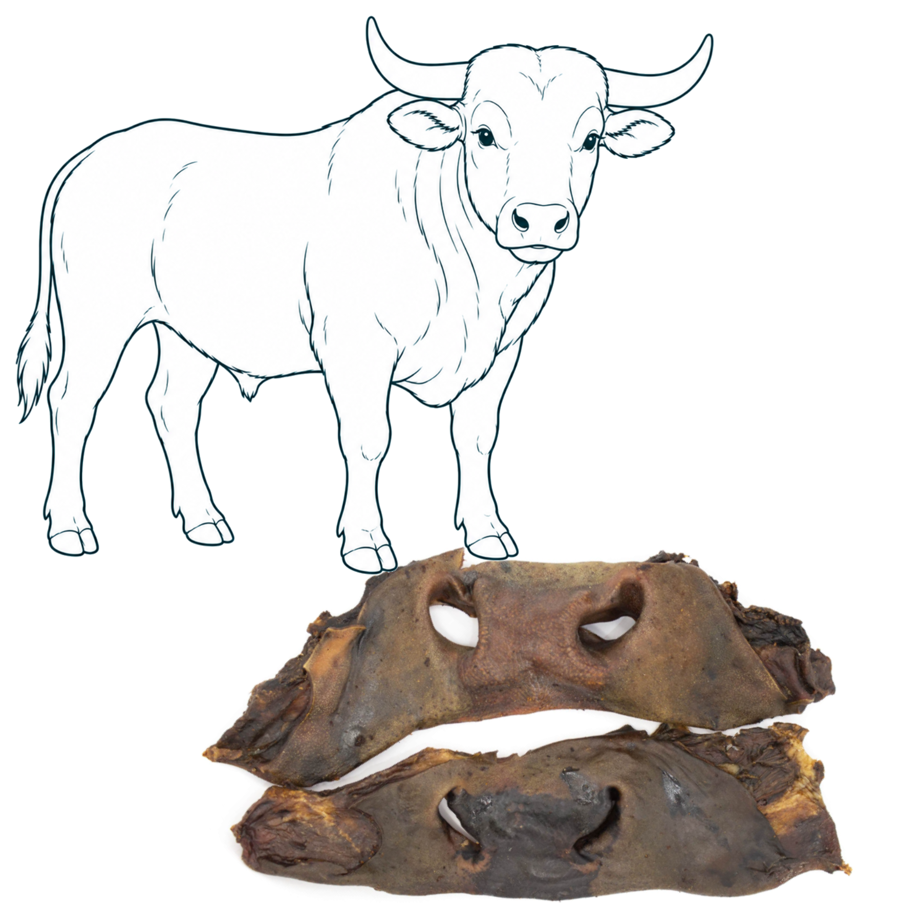 Museau de bœuf — friandise naturelle pour chien — Cyno'Lau