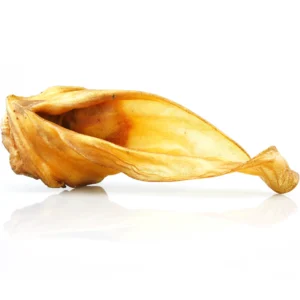 Oreille de bœuf avec cartilage
