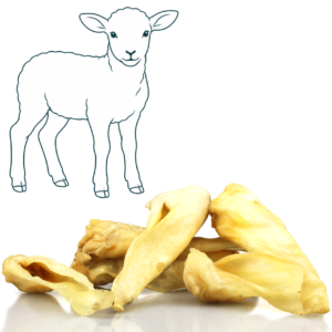 Oreille d’agneau