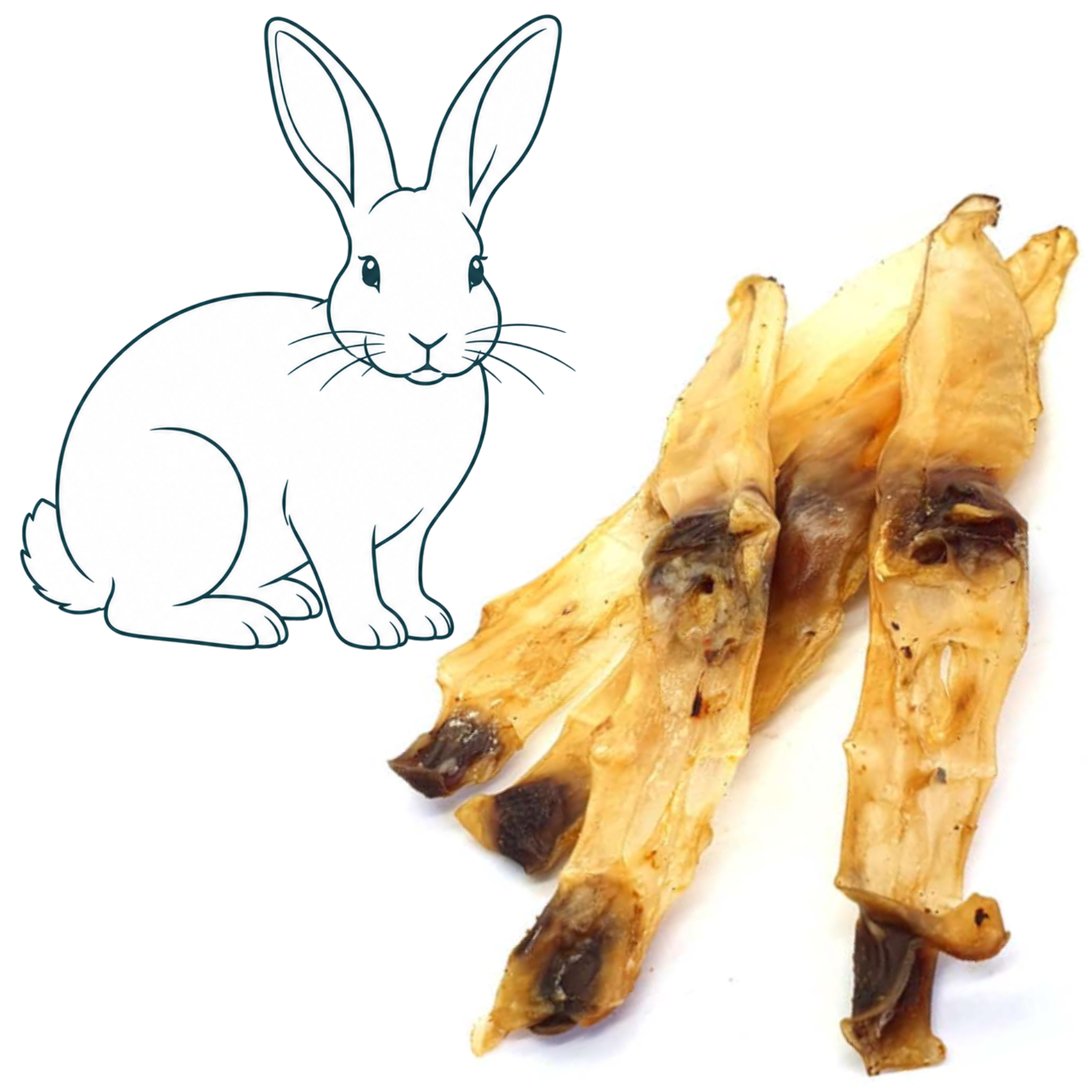 Oreilles de lapin — friandise naturelle pour chien — Cyno'Lau