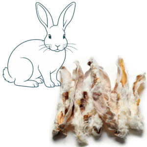 Oreille de lapin
