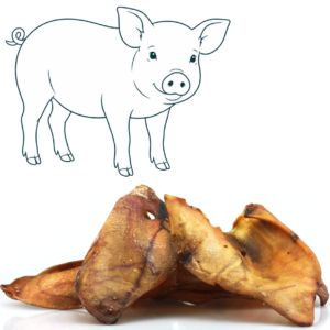 Oreille de porc
