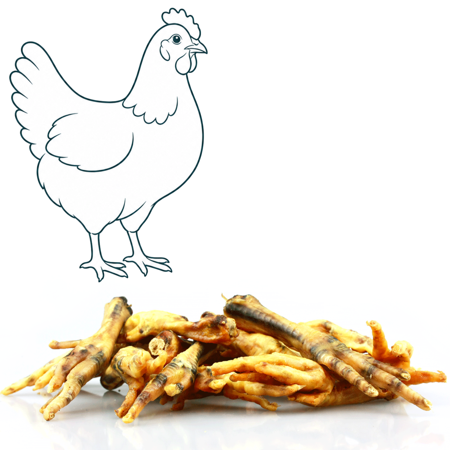 Pattes de poulet — friandise naturelle pour chien — Cyno'Lau