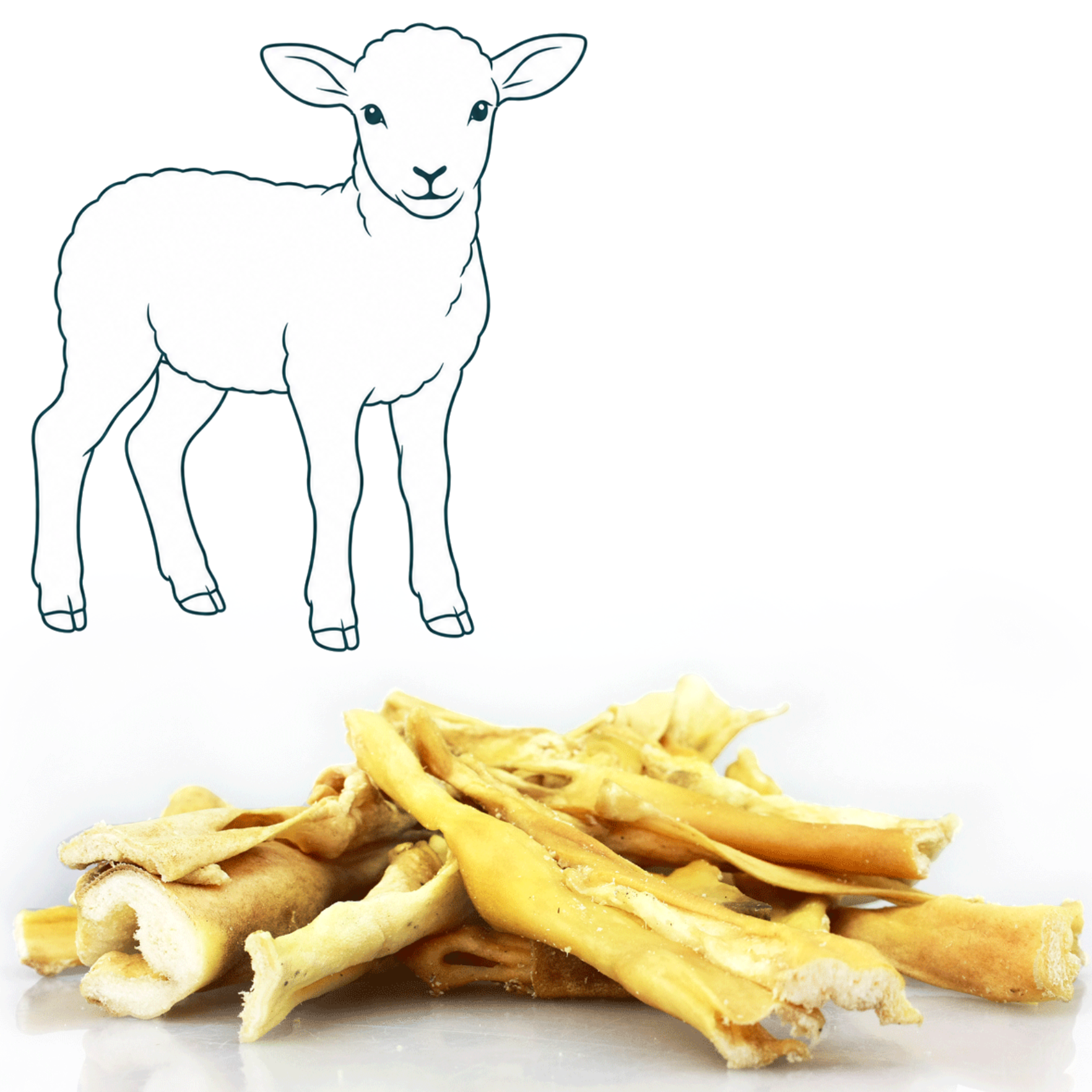 Peau d'Agneau — friandise naturelle pour chien — Cyno'Lau