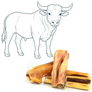 Peau de tête de bœuf extra dure – 15 cm