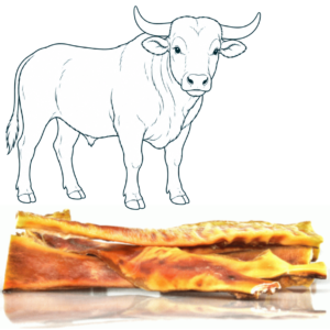 Peau de tête de bœuf extra dure – 30 cm