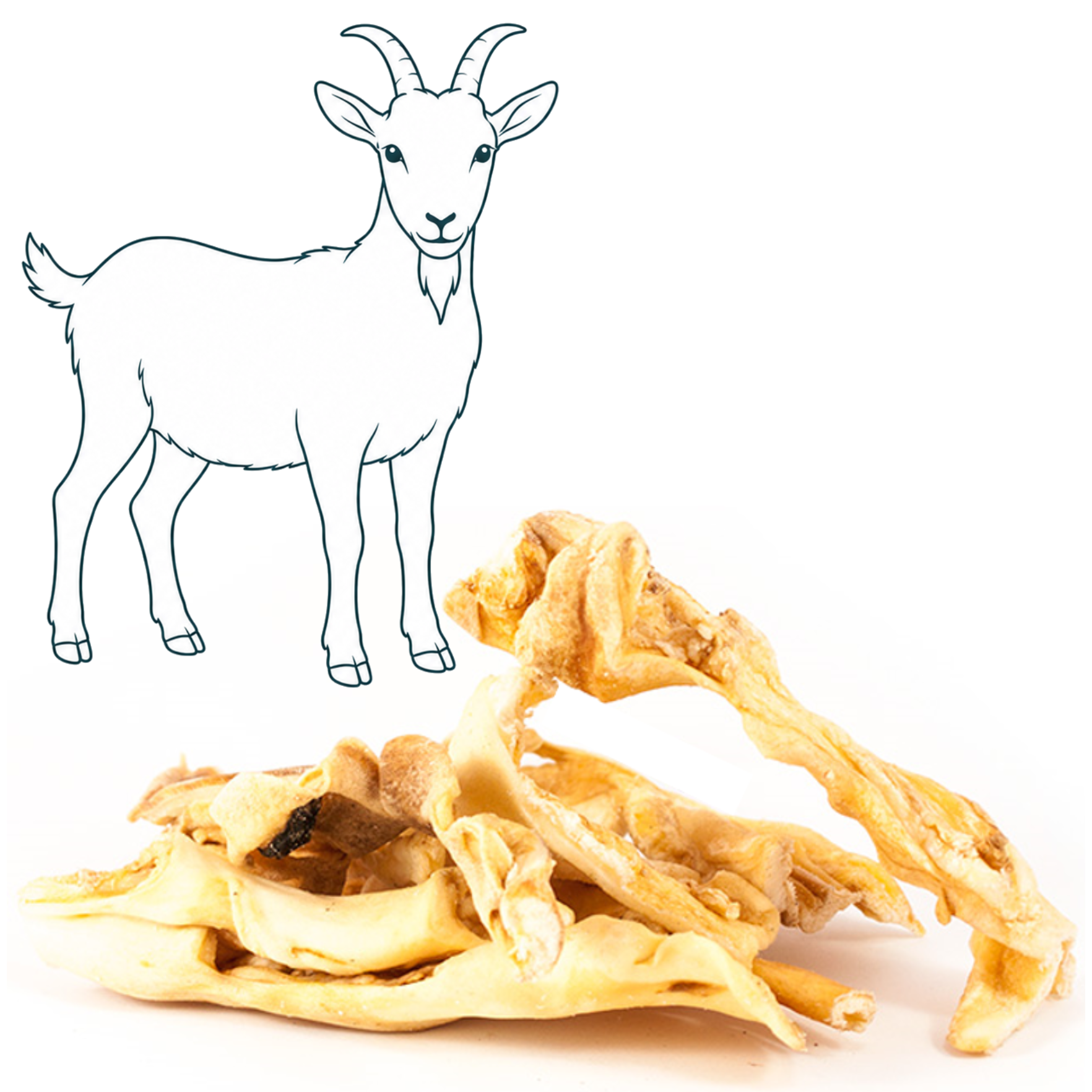 Peau de chèvre — friandise naturelle pour chien — Cyno'Lau