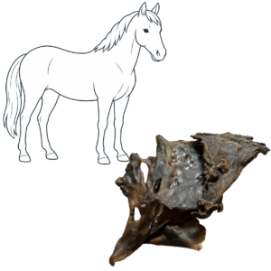 Plaque de peau de cheval