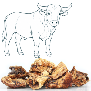 Poumon de bœuf