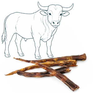 Queue de bœuf