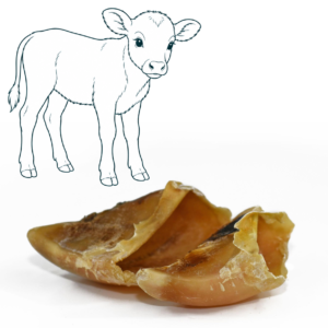 Sabot de veau