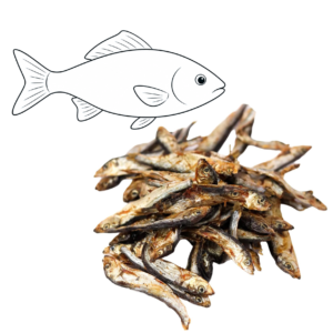 Sprats