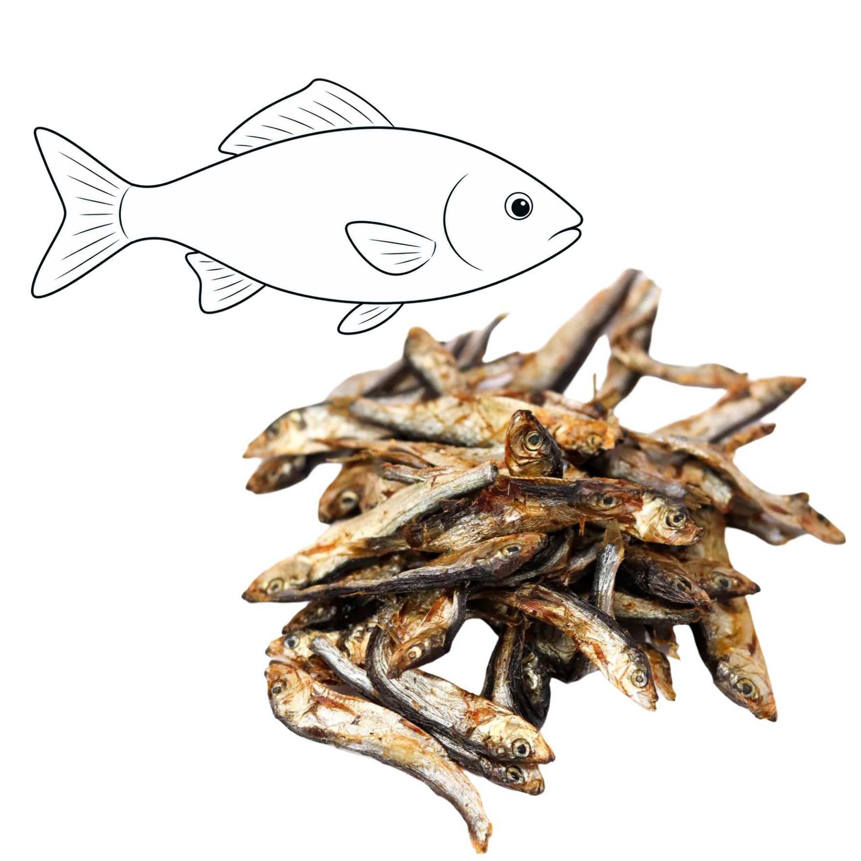 Sprats — friandise naturelle pour chien — Cyno'Lau