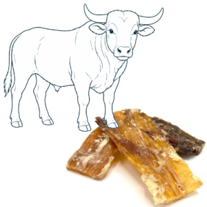 Tendon de bœuf