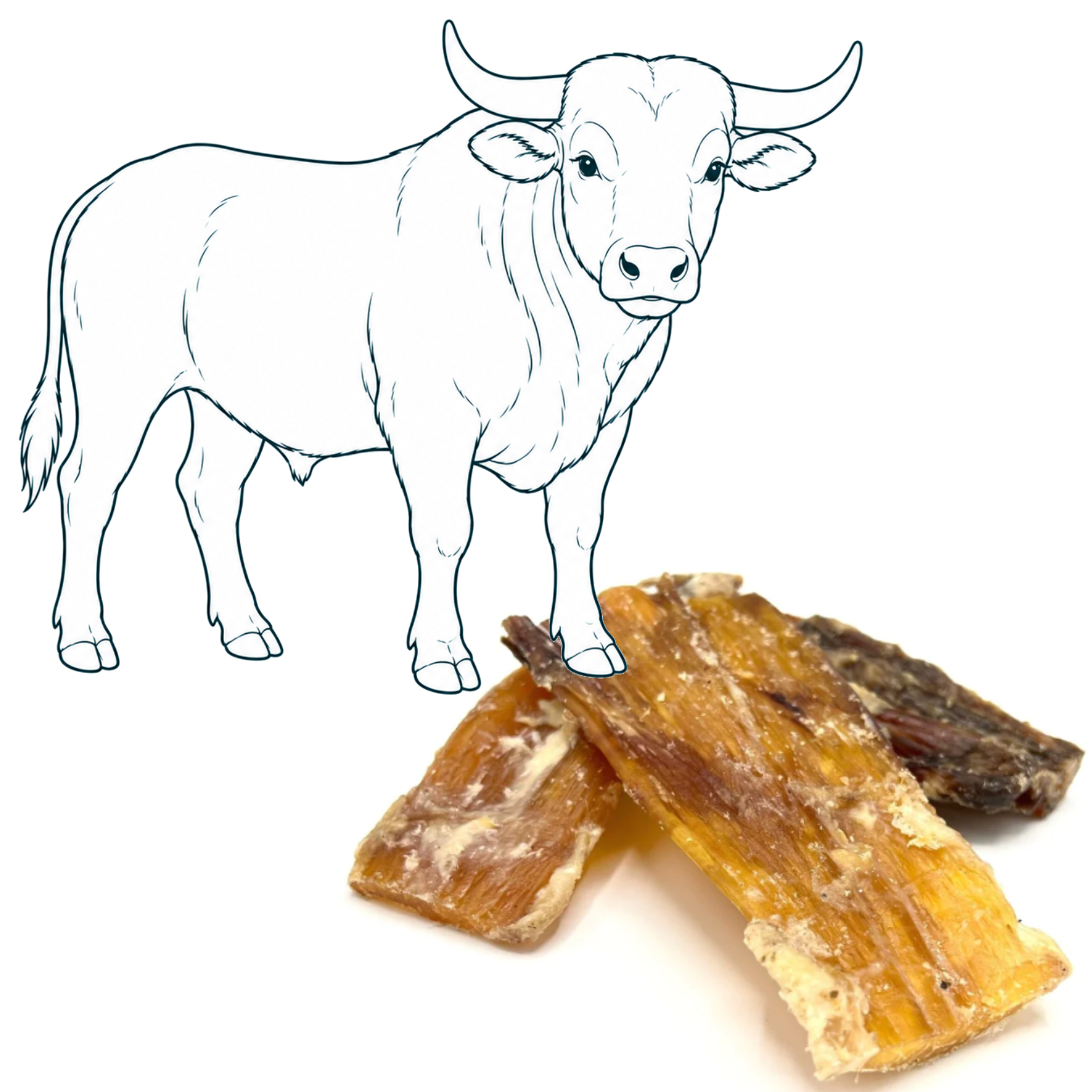 Tendon de bœuf — friandise naturelle pour chien — Cyno'Lau