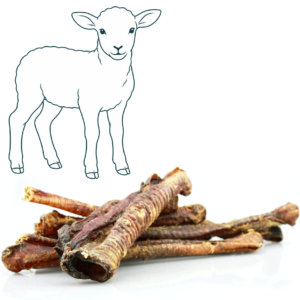 Trachée d’agneau