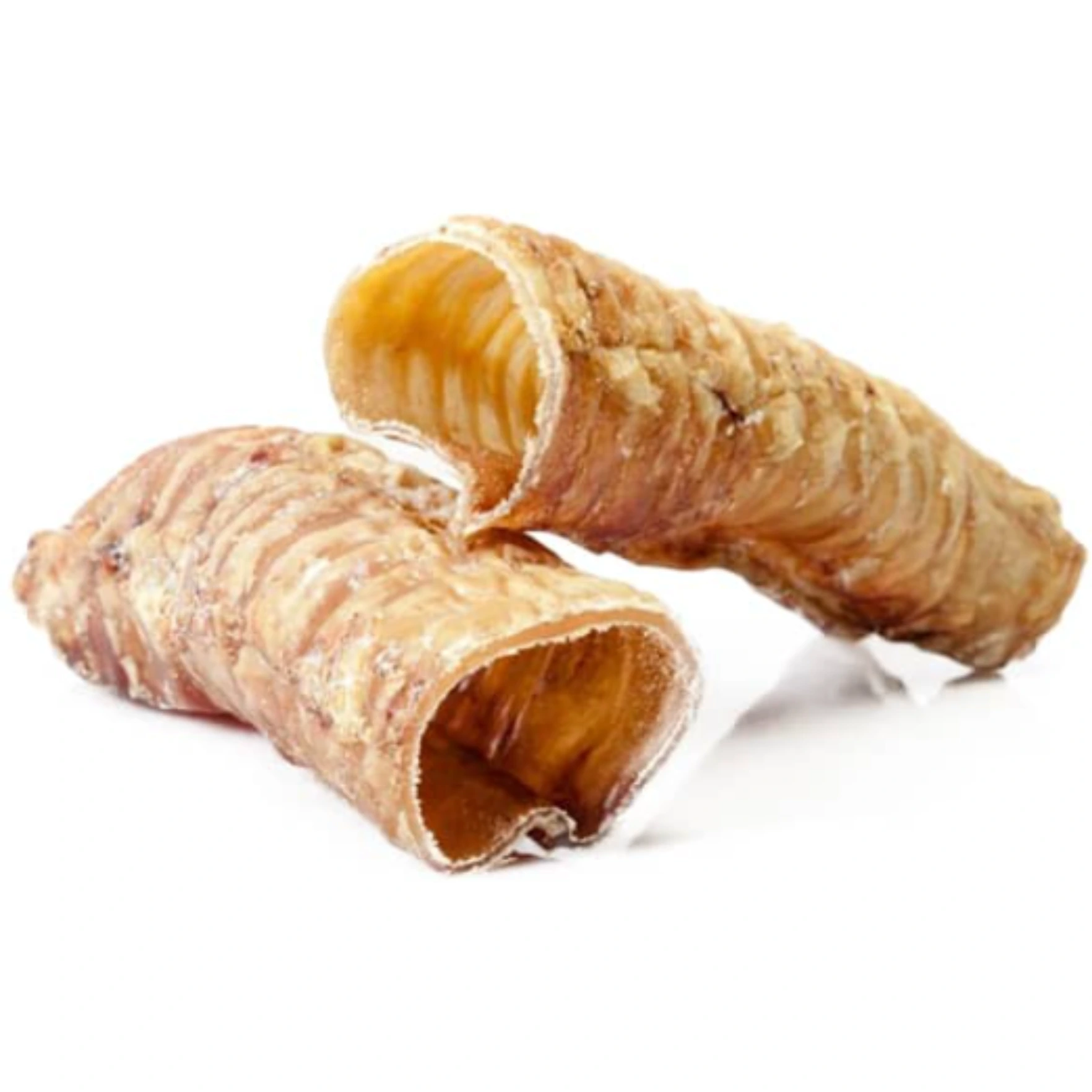 Trachée de bœuf 10cm — friandise naturelle pour chien — Cyno'Lau