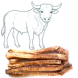 Trachée de bœuf – 40 cm