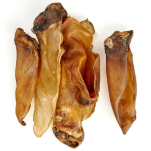 Oreille de cerf