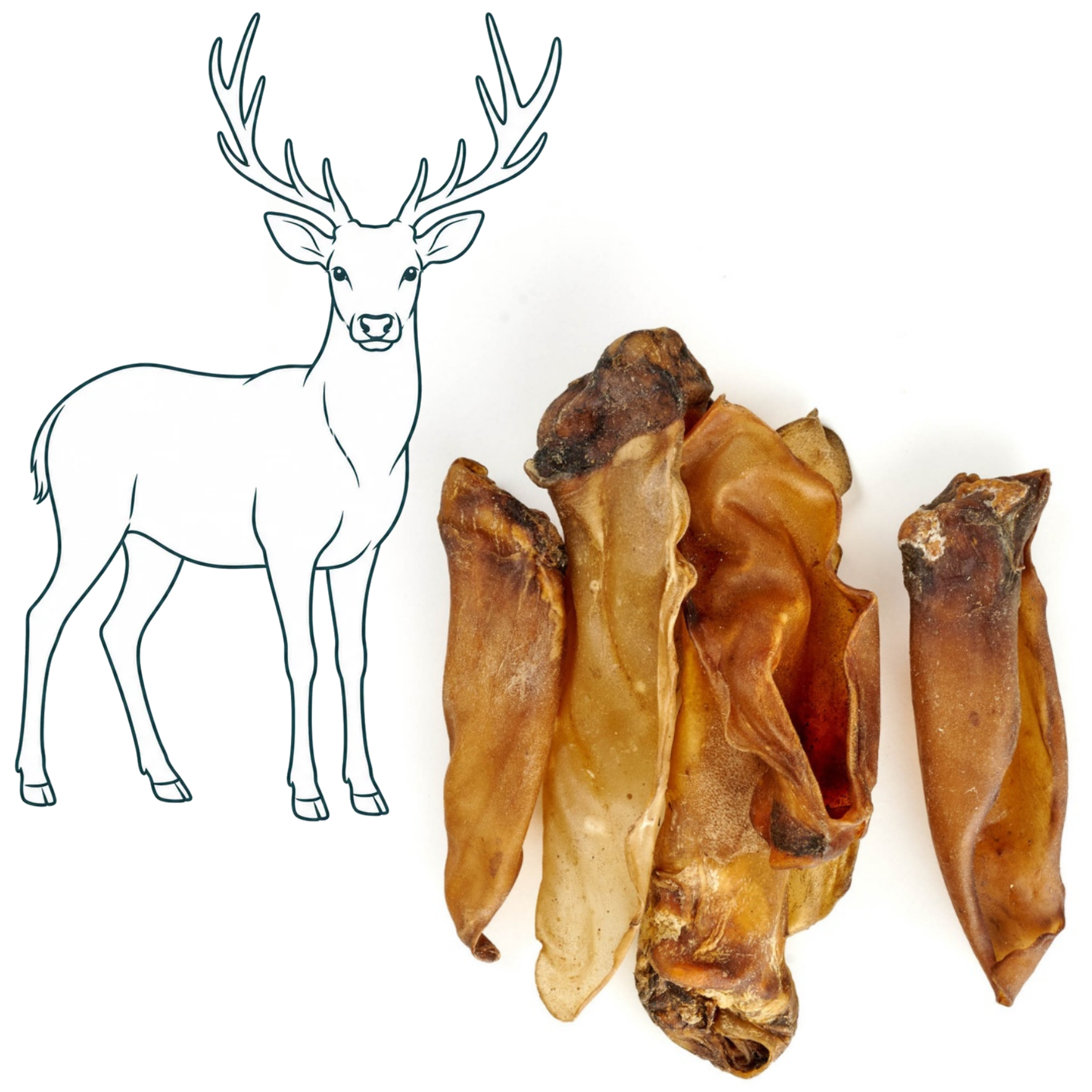 Oreilles de cerf — friandise naturelle pour chien — Cyno'Lau