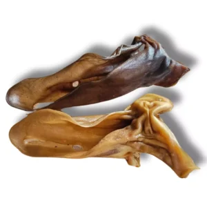Oreille de chameau