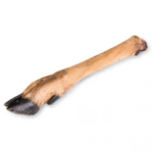 Patte de cerf