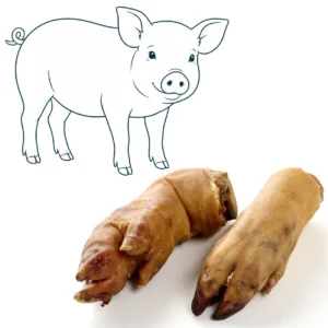 Pied de porc