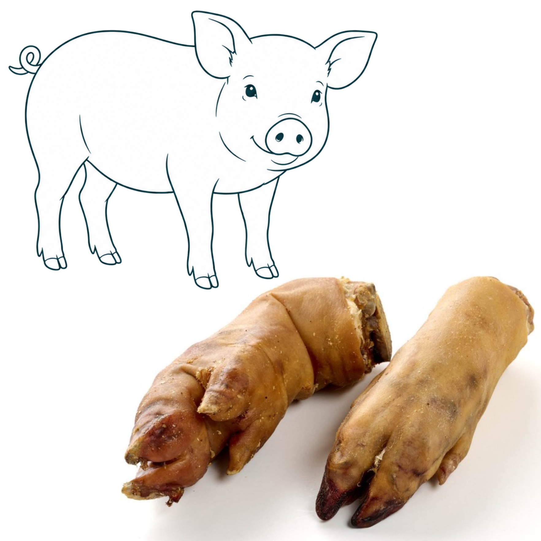 Pied de porc — friandise naturelle pour chien — Cyno'Lau