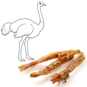 Tendon d’autruche