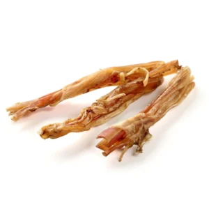 Tendon d’autruche