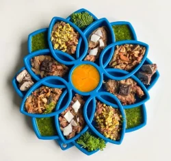 Gamelle d'enrichissement Mandala eTray - SodaPup