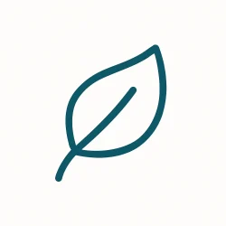 Icône minimaliste représentant le fait que nos produits sont naturels, créé pour le persona "ethique".